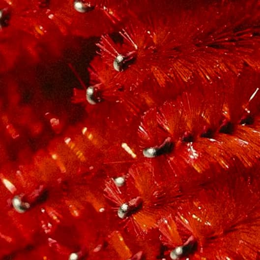 Lash Pack 3 at Divine Elegance Studio, LLC in West Palm Beach, FL